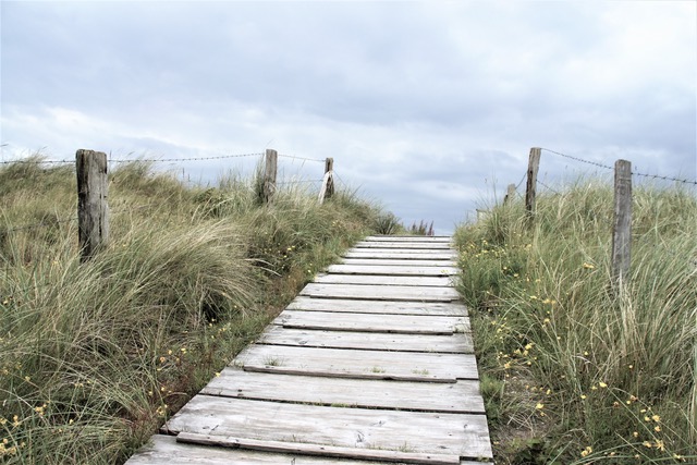 Holzweg durch Dünen