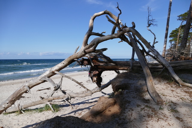 Weite Strandlandschaft